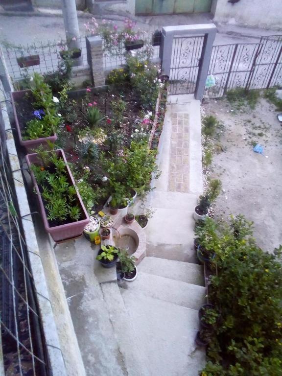 Apartman Turkana 2 塞拉耶佛 外观 照片
