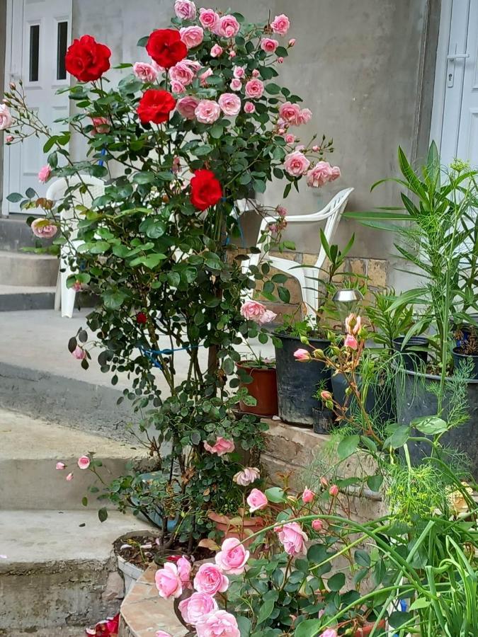 Apartman Turkana 2 塞拉耶佛 外观 照片